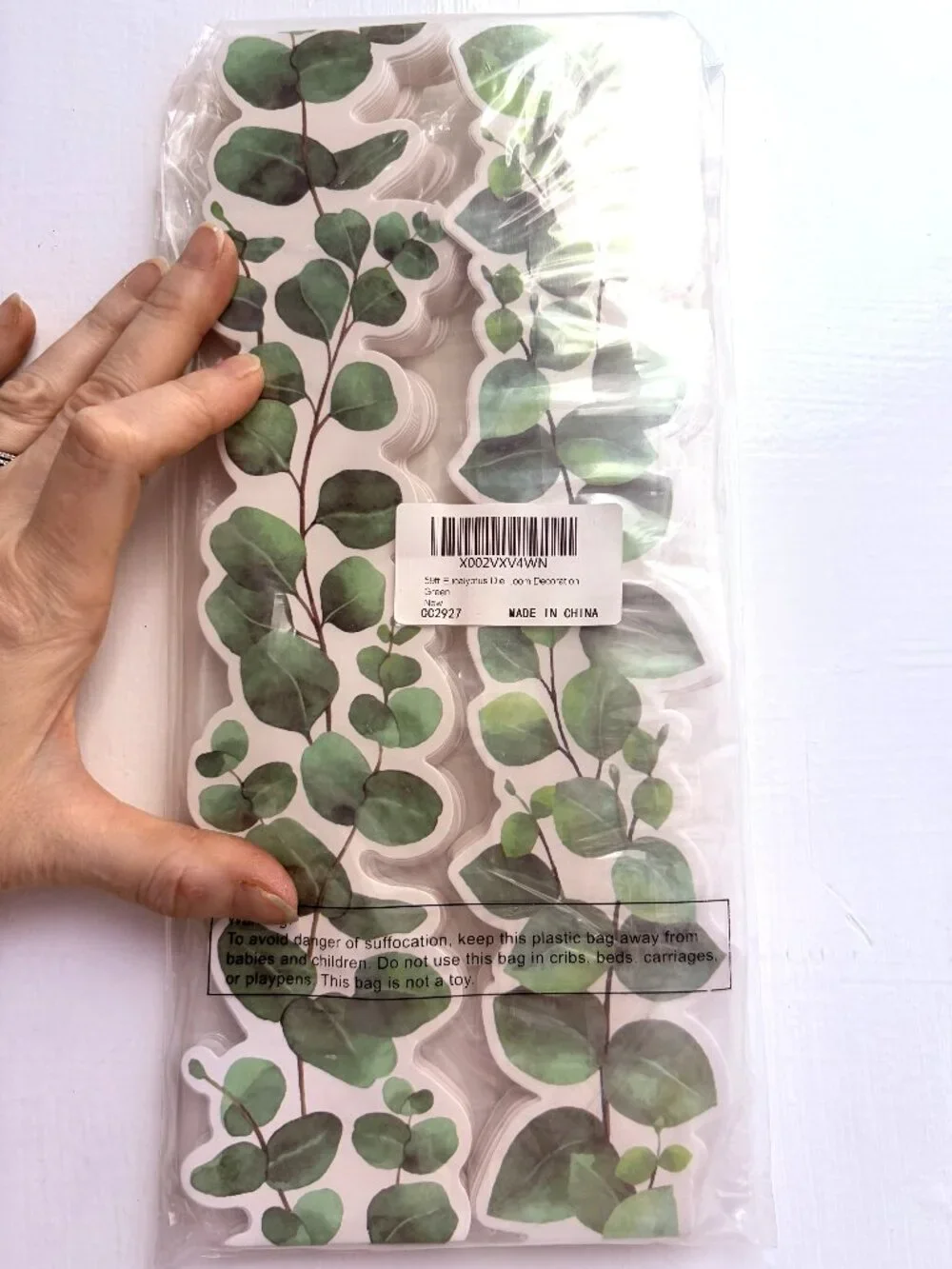 NWT 2-Pack Botanical Bulletin Board Borders Eucalyptus and Tropical Leaves